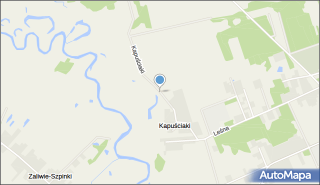 Kapuściaki, Kapuściaki, mapa Kapuściaki