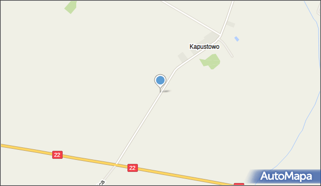 Kapustowo gmina Malbork, Kapustowo, mapa Kapustowo gmina Malbork