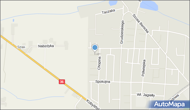 Krotoszyn, Karłowicza, mapa Krotoszyna