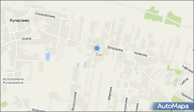 Rynarzewo, Kalinowa, mapa Rynarzewo