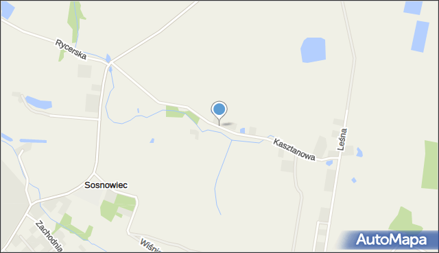 Sosnowiec gmina Śrem, Kasztanowa, mapa Sosnowiec gmina Śrem