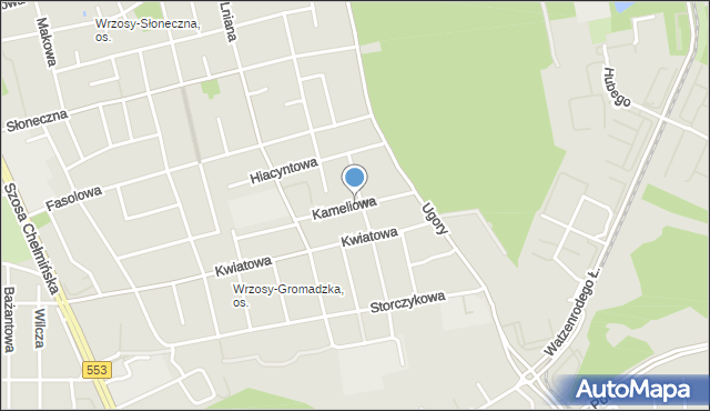 Toruń, Kameliowa, mapa Torunia