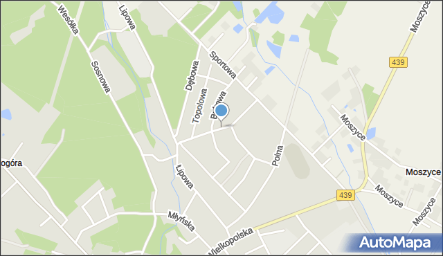 Twardogóra, Kasztanowa, mapa Twardogóra