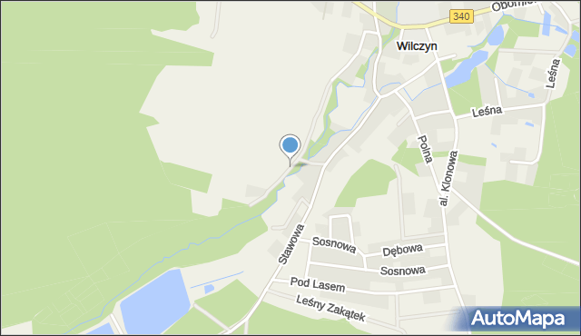 Wilczyn gmina Oborniki Śląskie, Kasztanowa, mapa Wilczyn gmina Oborniki Śląskie