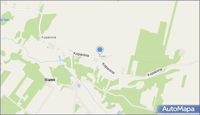 Bujniczki-Kolonia, Kopanina, mapa Bujniczki-Kolonia