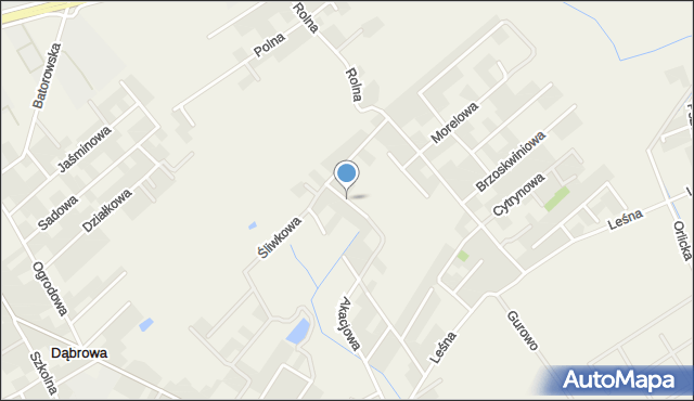 Dąbrowa gmina Dopiewo, Kokosowa, mapa Dąbrowa gmina Dopiewo