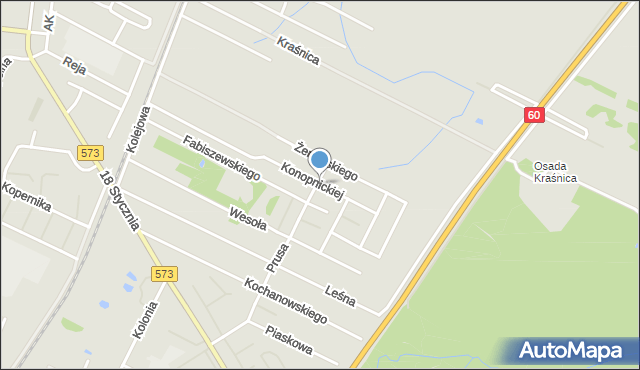 Gostynin, Konopnickiej Marii, mapa Gostynin