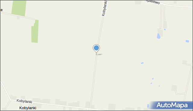 Kobylanki gmina Skulsk, Kobylanki, mapa Kobylanki gmina Skulsk