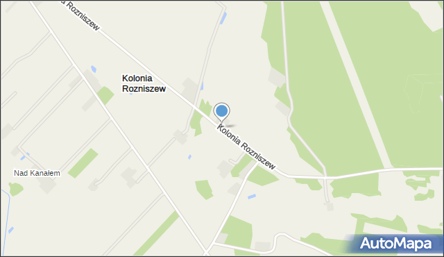 Kolonia Rozniszew, Kolonia Rozniszew, mapa Kolonia Rozniszew