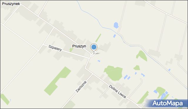 Pruszyn gmina Siedlce, Kościelna, mapa Pruszyn gmina Siedlce