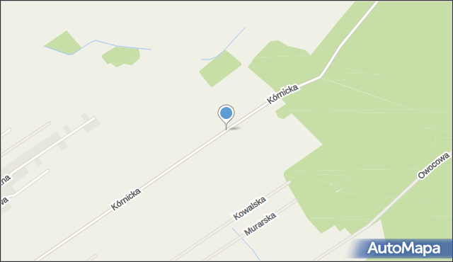 Radzewo gmina Kórnik, Kórnicka, mapa Radzewo gmina Kórnik