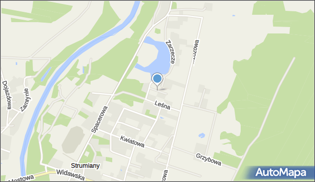 Strumiany gmina Burzenin, Konwaliowa, mapa Strumiany gmina Burzenin