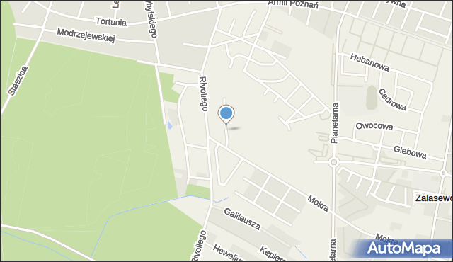 Zalasewo, Kosteckiego Ryszarda, prof., mapa Zalasewo