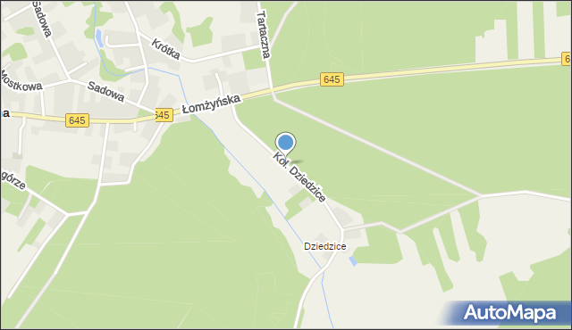 Zbójna, Kol. Dziedzice, mapa Zbójna