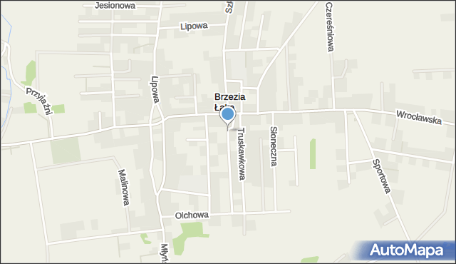 Brzezia Łąka, Kręta, mapa Brzezia Łąka