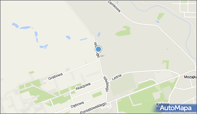 Gozdów gmina Kościelec, Króla Kazimierza Wielkiego, mapa Gozdów gmina Kościelec