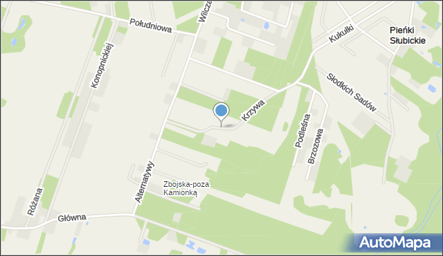 Kamionka gmina Radziejowice, Krzywa, mapa Kamionka gmina Radziejowice