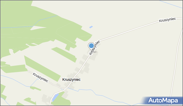 Kruszyniec gmina Góra, Kruszyniec, mapa Kruszyniec gmina Góra