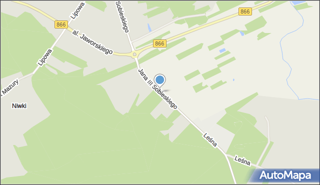 Lisie Jamy gmina Lubaczów, Króla Jana III Sobieskiego, mapa Lisie Jamy gmina Lubaczów