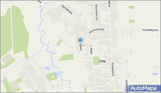 Orla powiat bielski, Krzywa, mapa Orla powiat bielski