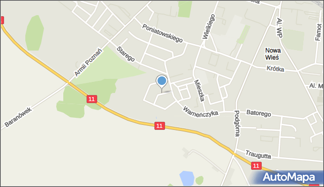 Pleszew, Króla Zygmunta III Wazy, mapa Pleszew