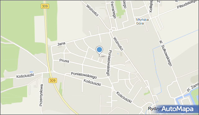 Rydzyna powiat leszczyński, Kraszewskiego Józefa Ignacego, mapa Rydzyna powiat leszczyński