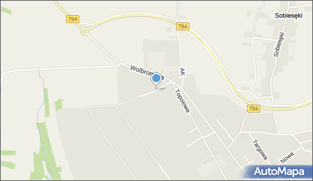 Skała powiat krakowski, Króla Władysława Łokietka, mapa Skała powiat krakowski