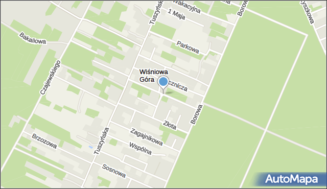 Wiśniowa Góra, Kraszewskiego Józefa Ignacego, mapa Wiśniowa Góra