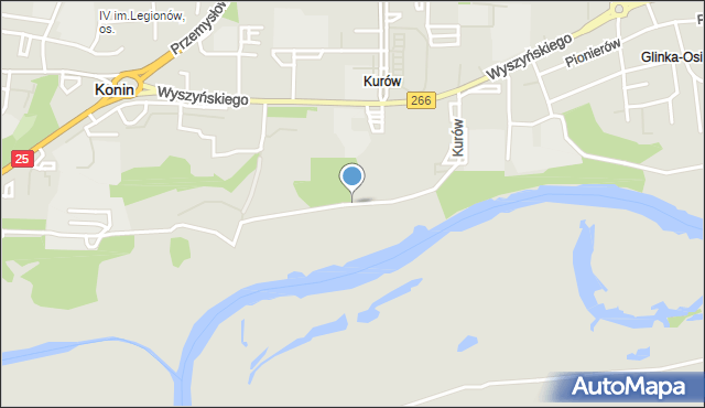 Konin, Kurów, mapa Konina