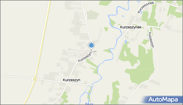 Kurzeszyn, Kurzeszyn, mapa Kurzeszyn