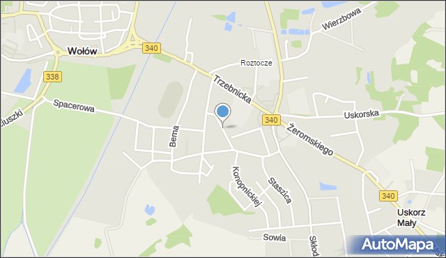 Wołów, Kupiecka, mapa Wołów