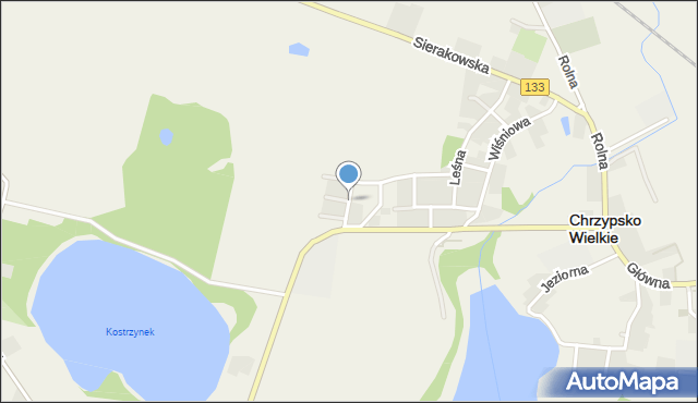 Chrzypsko Wielkie, Kwiatowa, mapa Chrzypsko Wielkie