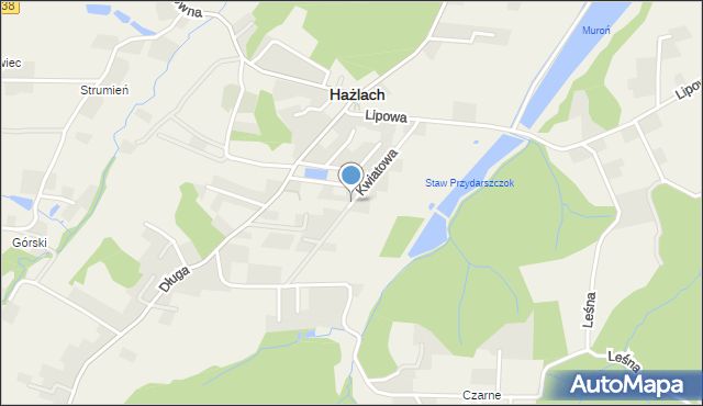 Hażlach, Kwiatowa, mapa Hażlach