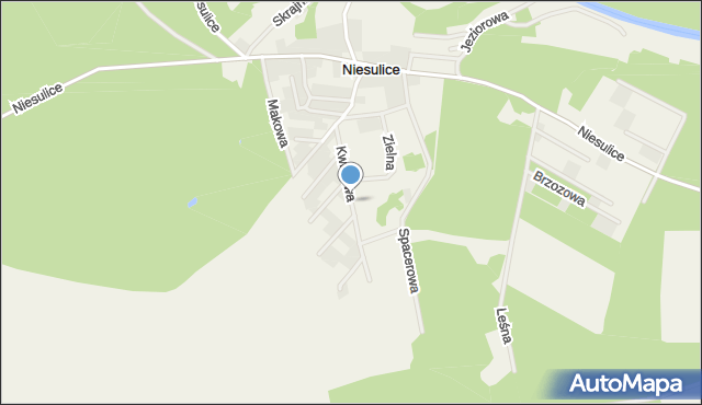 Niesulice, Kwiatowa, mapa Niesulice