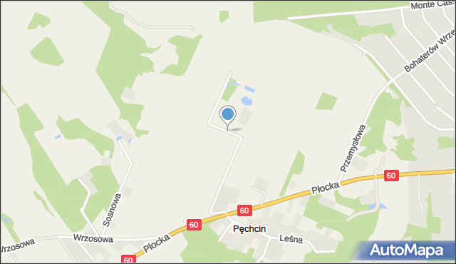 Pęchcin, Kwiatowa, mapa Pęchcin