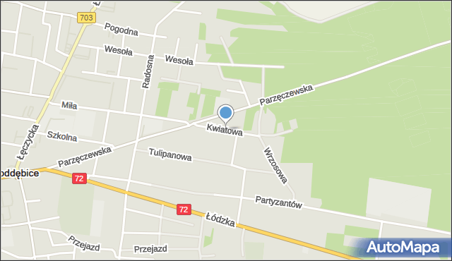 Poddębice, Kwiatowa, mapa Poddębice