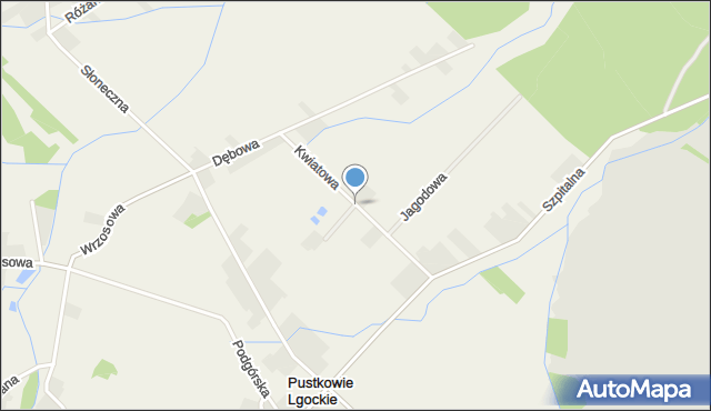 Pustkowie Lgockie, Kwiatowa, mapa Pustkowie Lgockie