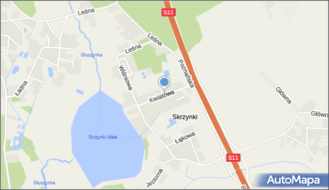 Skrzynki gmina Kórnik, Kwiatowa, mapa Skrzynki gmina Kórnik