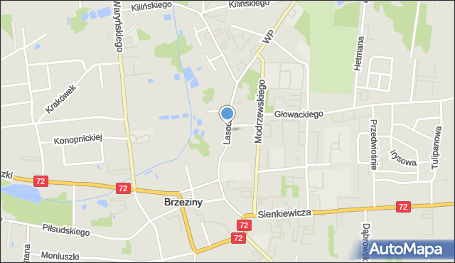 Brzeziny, Lasockich, mapa Brzeziny