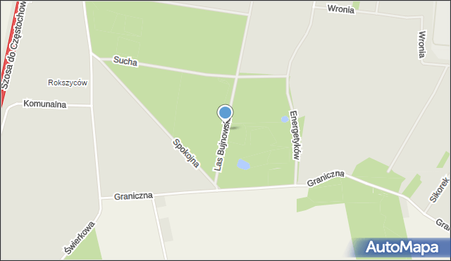 Piotrków Trybunalski, Las Bujnowski, mapa Piotrków Trybunalski