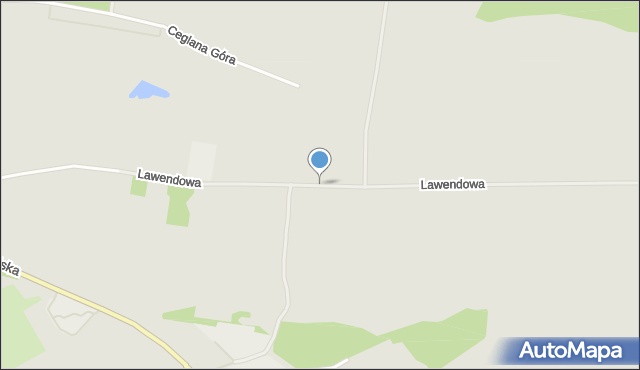 Skwierzyna, Lawendowa, mapa Skwierzyna