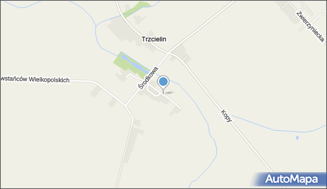 Trzcielin, Łąkowa, mapa Trzcielin