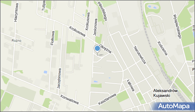 Aleksandrów Kujawski, Leszczynowa, mapa Aleksandrów Kujawski