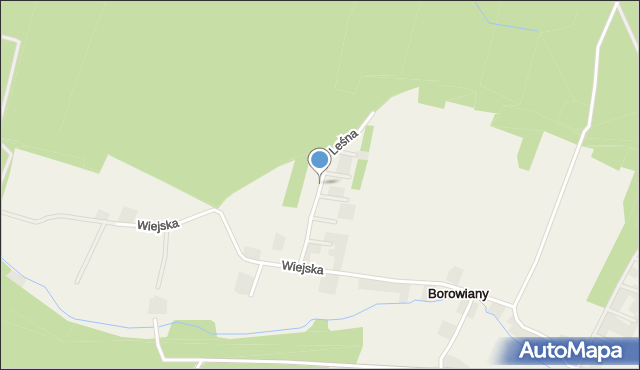 Borowiany, Leśna, mapa Borowiany