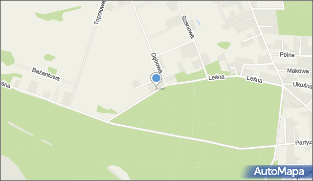 Chwalęcice gmina Kłodawa, Leśna, mapa Chwalęcice gmina Kłodawa