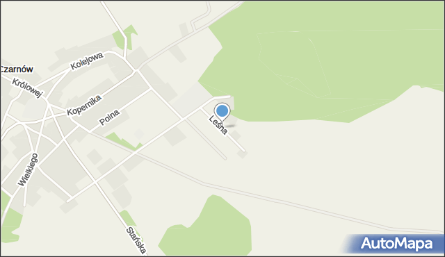 Czarnów gmina Górzyca, Leśna, mapa Czarnów gmina Górzyca