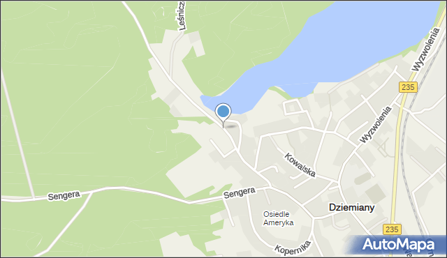 Dziemiany, Leśna, mapa Dziemiany