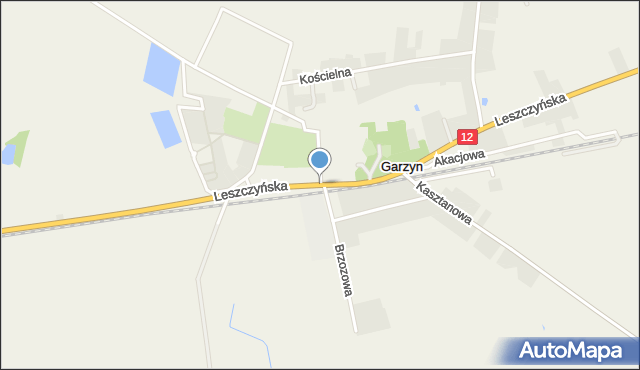 Garzyn, Leszczyńska, mapa Garzyn