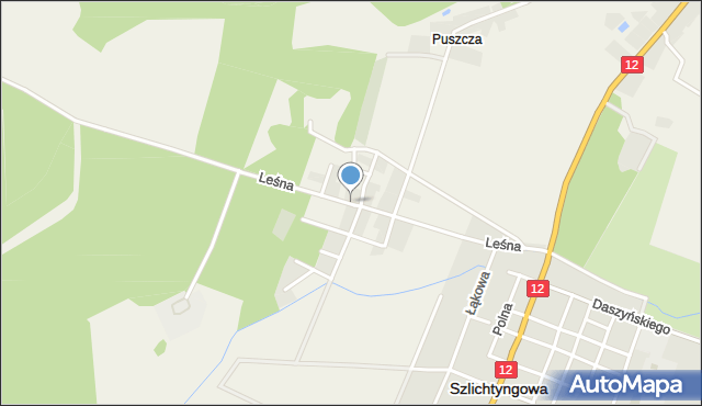 Górczyna gmina Szlichtyngowa, Leśna, mapa Górczyna gmina Szlichtyngowa