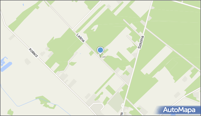 Jeruzal gmina Mrozy, Leśna, mapa Jeruzal gmina Mrozy